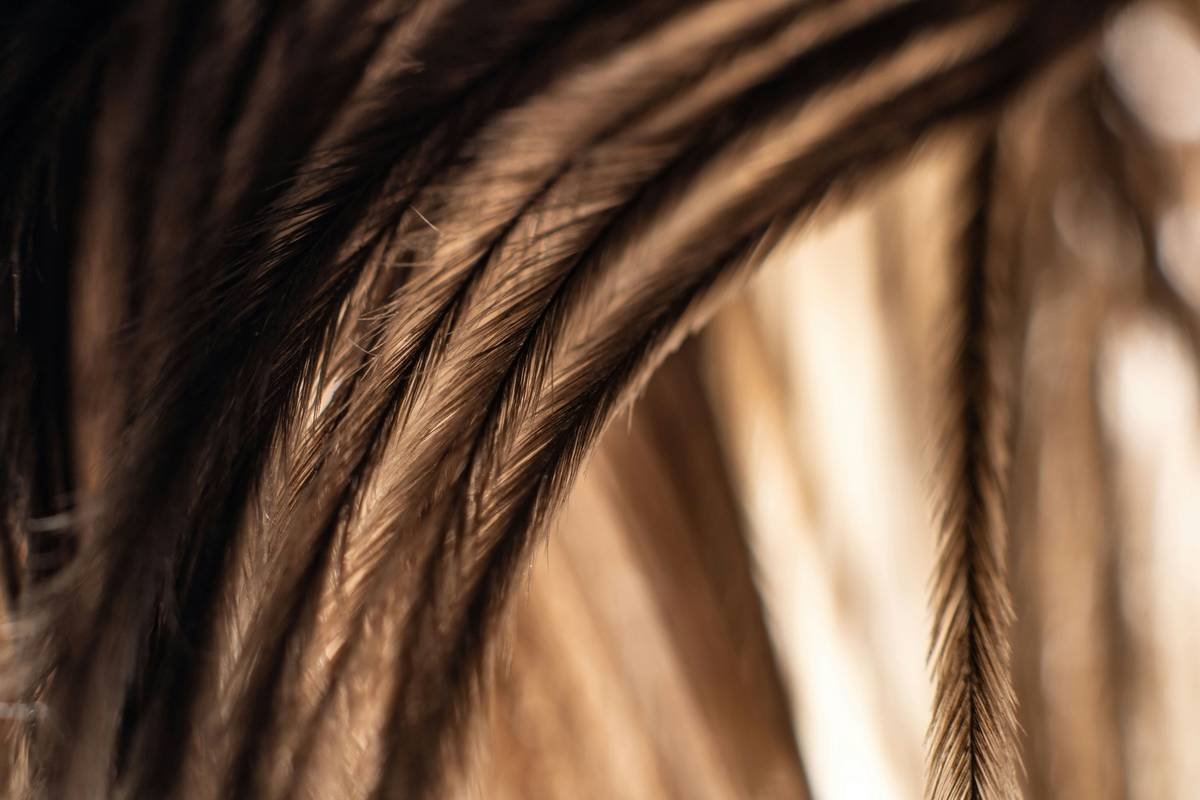 Balayage Hair Gloss: The Secret Weapon for Dimension Without Damage